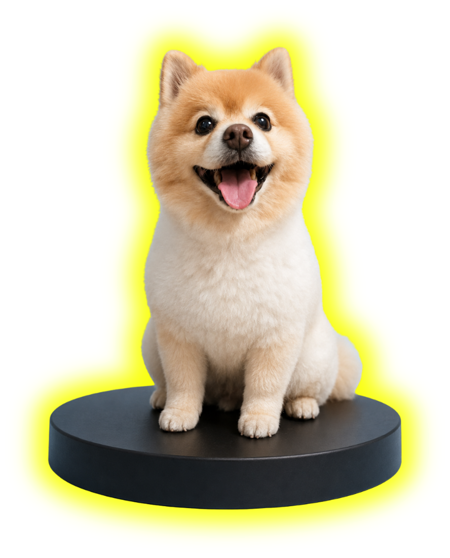Mascota Fullcolor premium